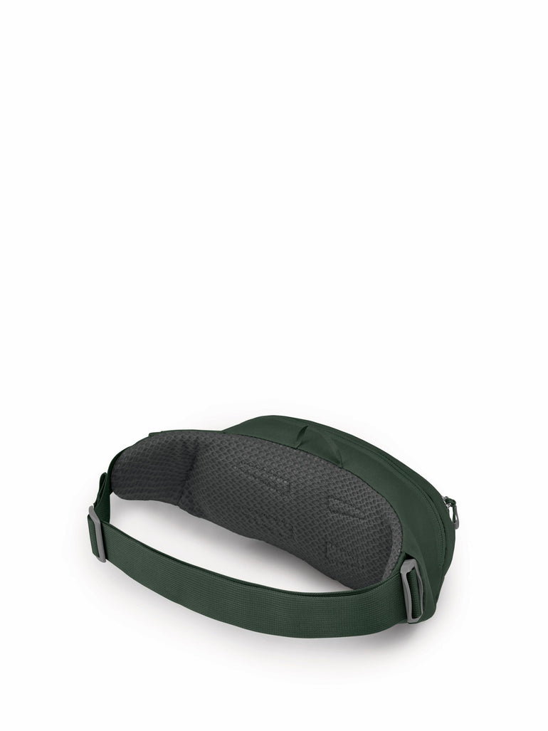 Osprey Daylite Waist