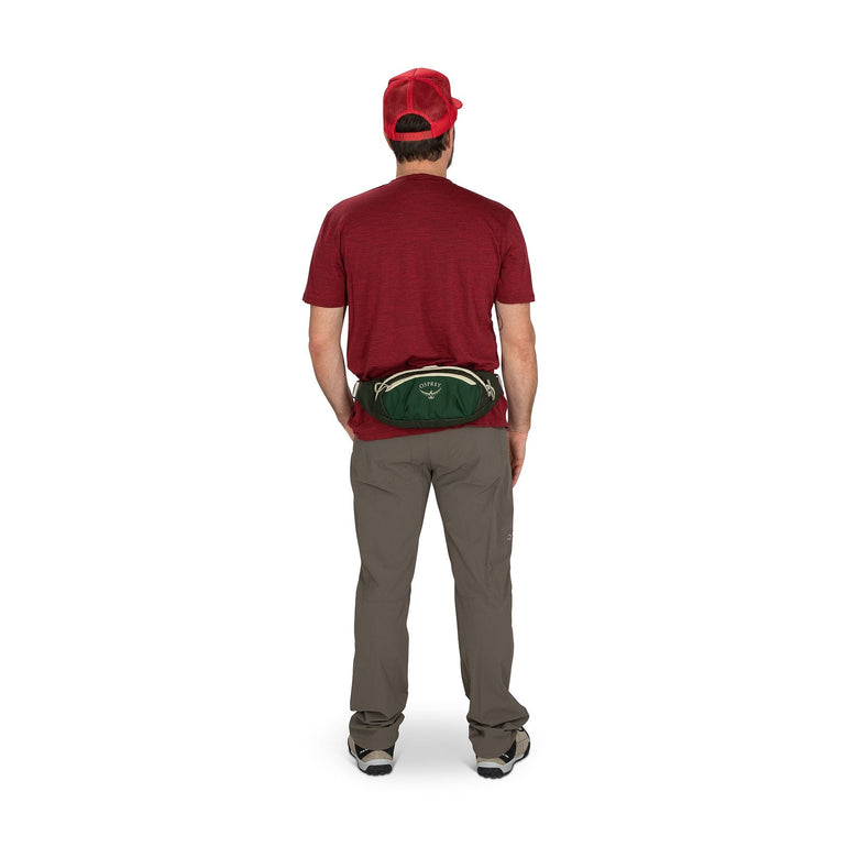 Osprey Daylite Waist